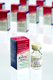 JENVAC vaccine for japanese encephalitis